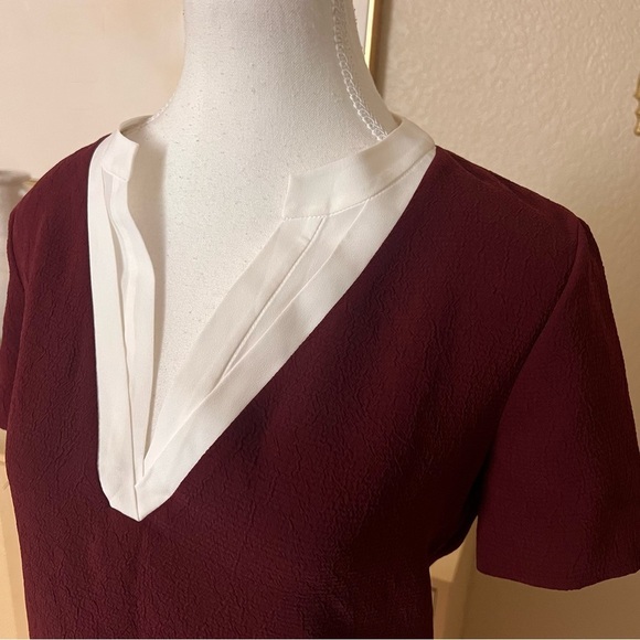 Sandro Deep Red and White V-Neck Mini Dress - Picture 4 of 12